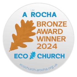 bronze award picture